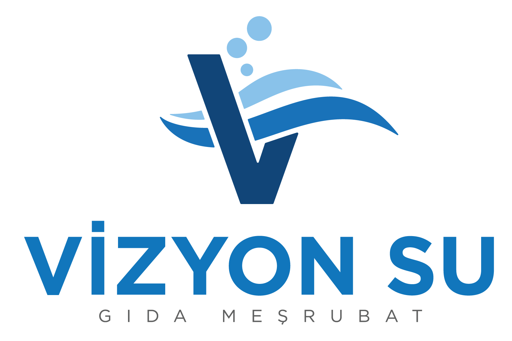 Vizyon Su